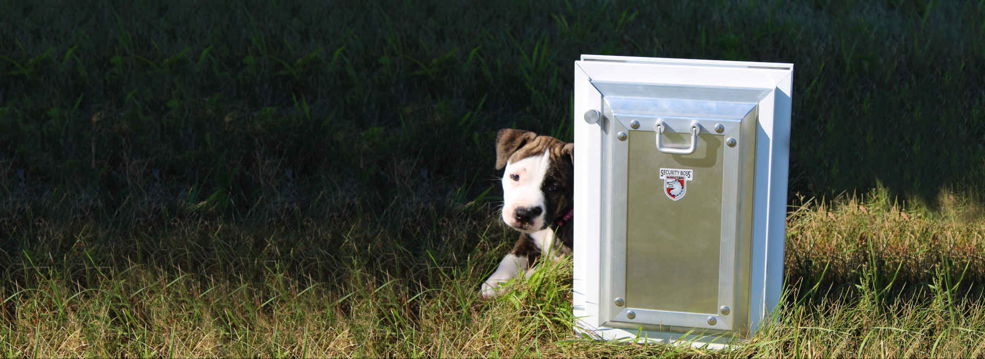 Security boss pet door