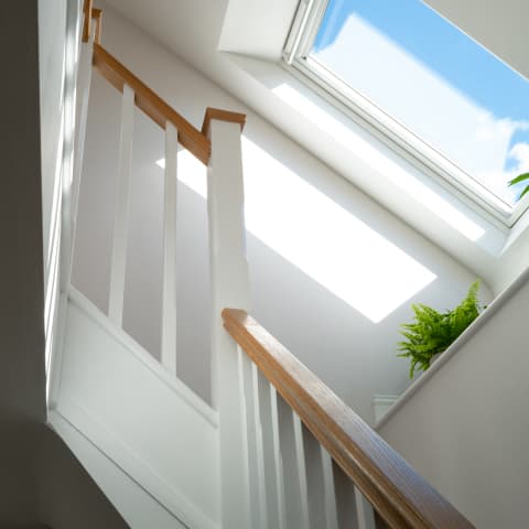 skylight thumbnail