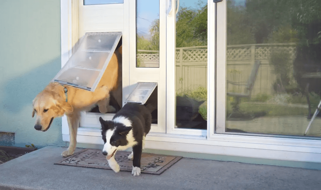 How to Choose the Right Size Pet Door for Your Dog or Cat